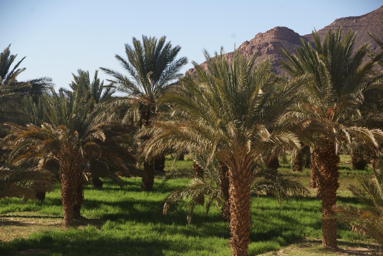 Riad Les Jardins De Tafraoute Hotel Foum Mharech Buitenkant foto